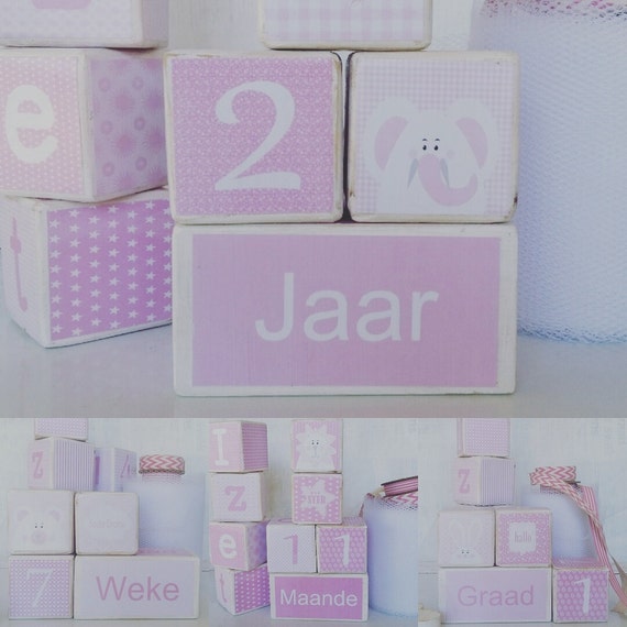 Editable Pink DIY MILESTONE BLOCKS Photo Props Printables