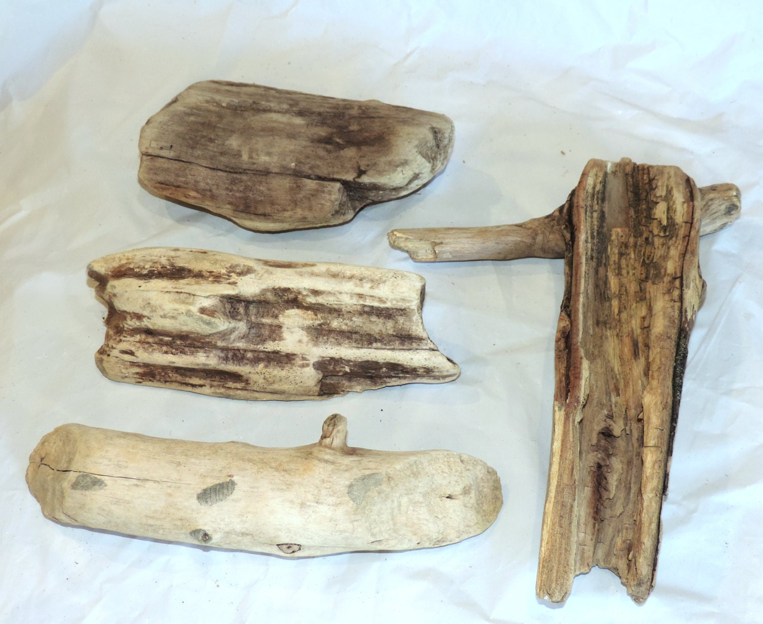 Large Good quality Natural Driftwood Pieces of Atlantic Ocean