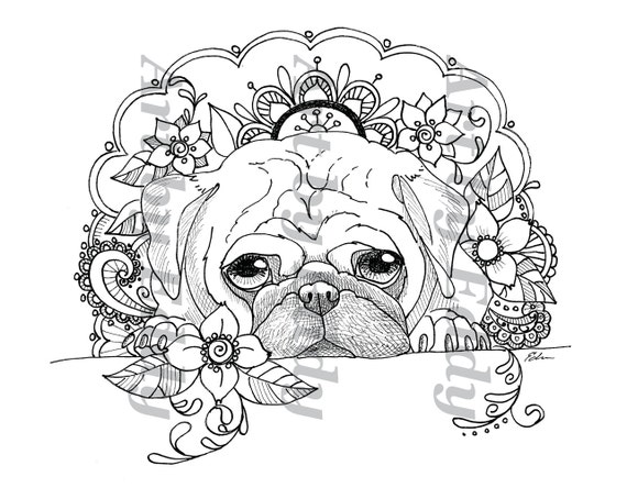 Art of Pug Single Coloring Page Peek-A-Boo