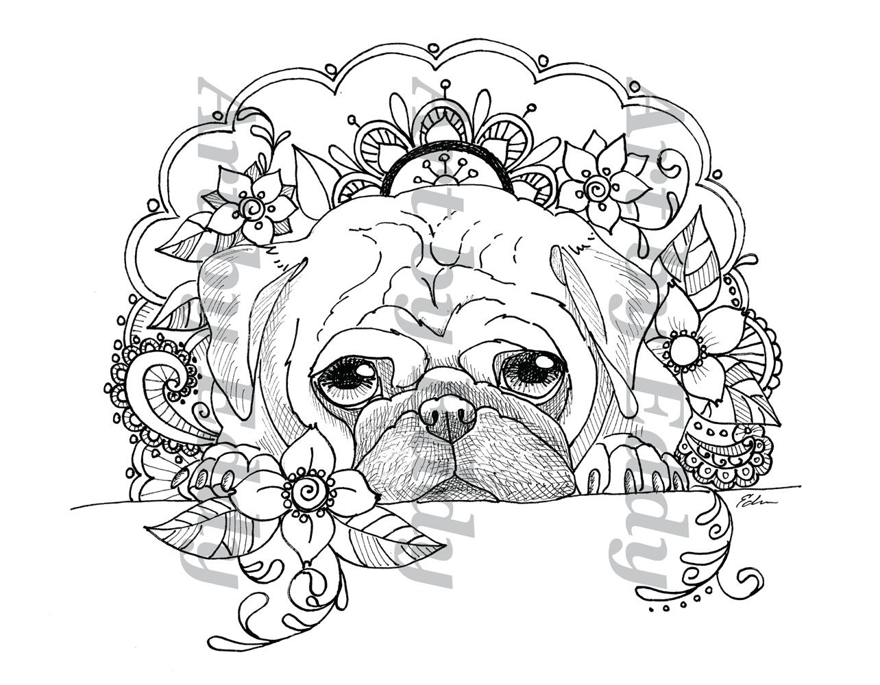 Download Art of Pug Single Coloring Page Peek-A-Boo