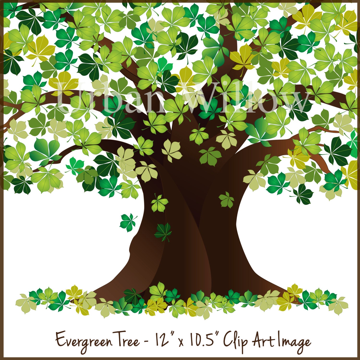 Evergreen Clipart Tree Tree Graphic Green Tree Oak Tree