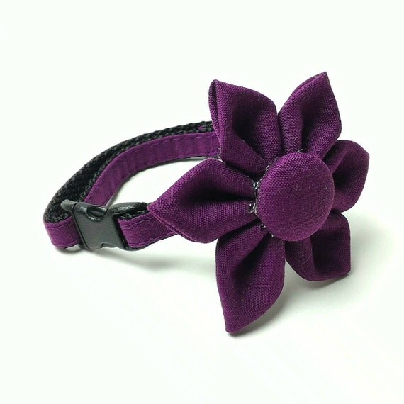 Cat Collar Simply Plum Matching Bow Tie and Flower