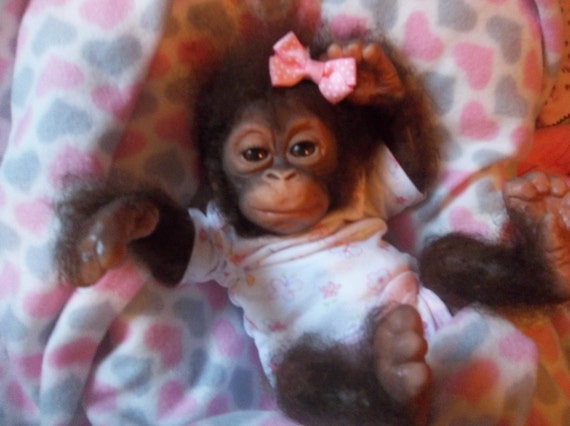 chimpanzee doll