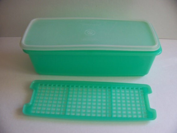 Vintage Tupperware Celery Keeper 3 Pc Green Set Vegetable vintage tupperware celery keeper 3 pc green set vegetable