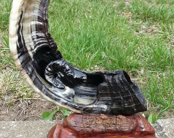 Horn Carving Etsy horn-carving-etsy
