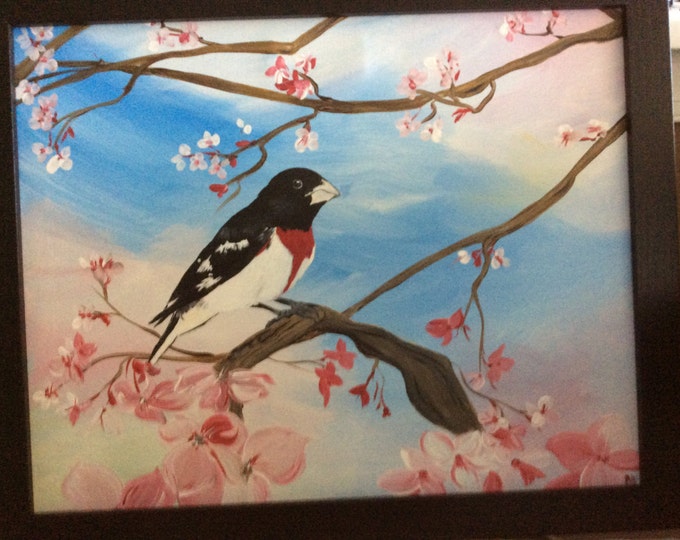 Rose Breasted Grosbeak among the Cherry Blossoms