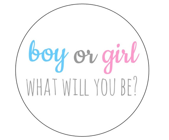 12-boy-or-girl-stickers-gender-reveal-what-will-you-be-baby