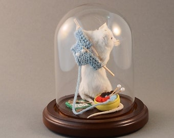 Taxidermy Knitting Mouse Anthropomorphic Taxidermy