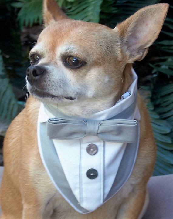 Dog Tuxedo Pet Wedding Clothes Pet Formal Wear Tuxedo Dog