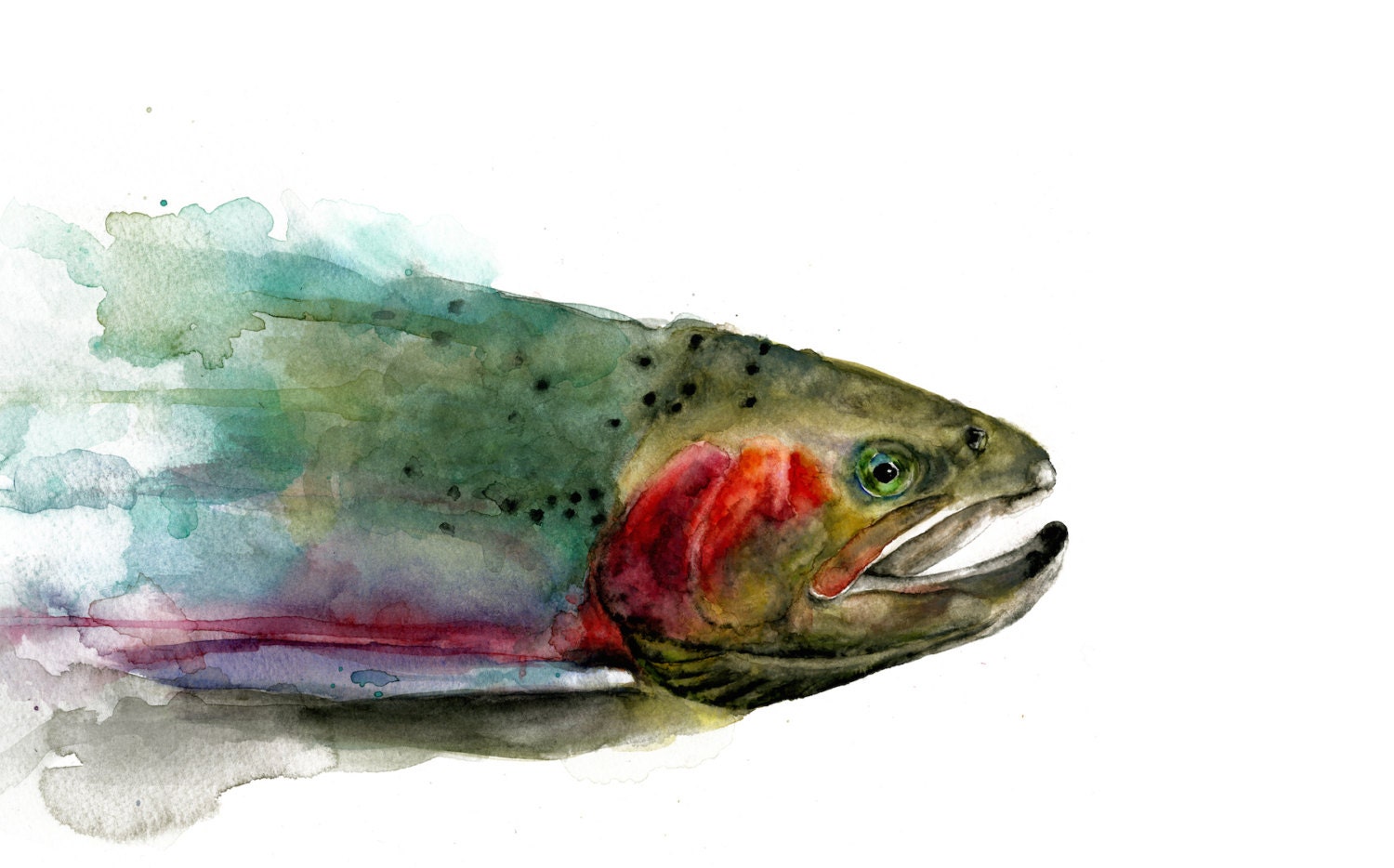 Rainbow Trout Watercolor Print