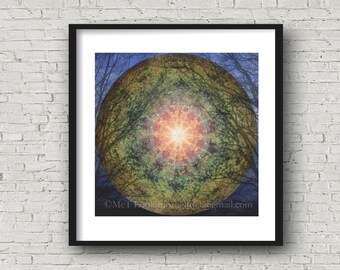 Mandala Art, Tree Moon Mandala, Surreal Mandala Collage, Abstract Moon & Tree Photo Collage Art, Limited Edition Art, Fine Art Photo Montage