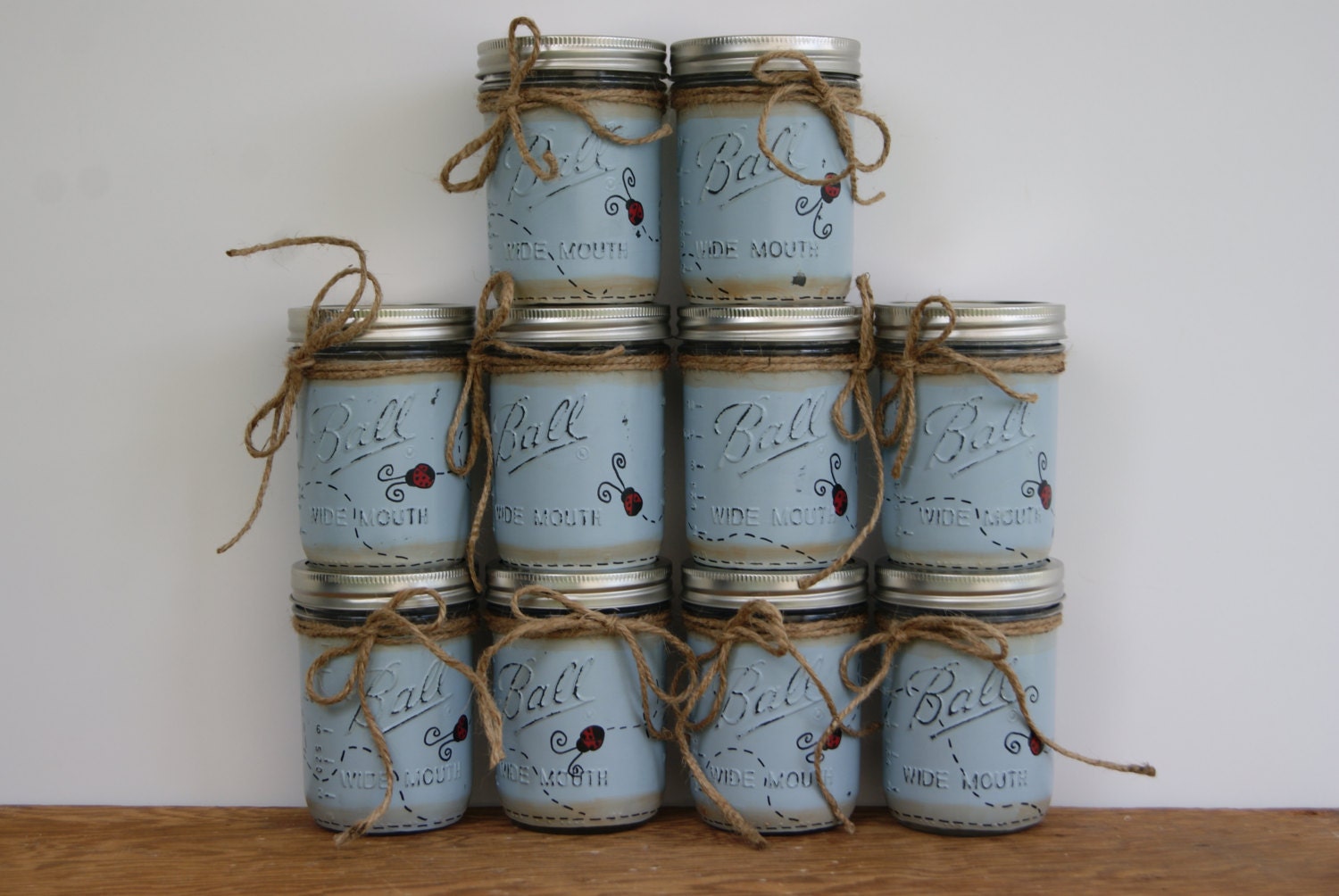 Mason jar Ladybug decor bathroom decor Mason jar decor