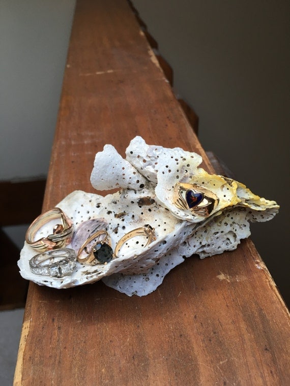 Jewelry Holder Natural Oyster Shell