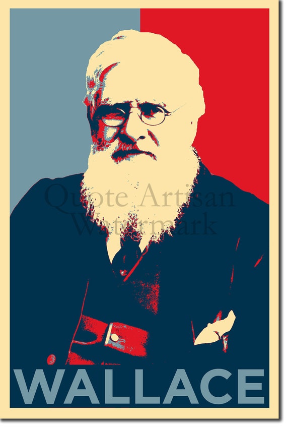 Alfred Russel Wallace Original Art Print 12x8 Inch Photo