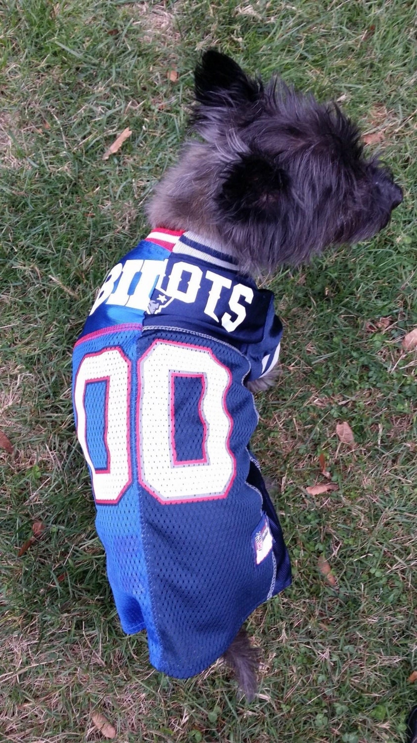 House Divided Football Dog Jersey Personalized 00 Dog Jersey