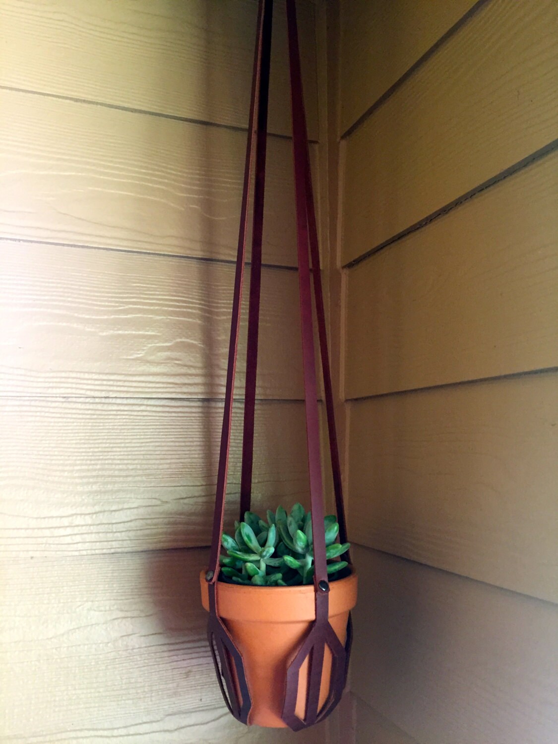 Hanging leather planter