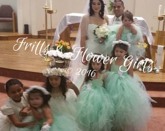 Mint Green Flower Girl Dress Mint Green Lace Flower Girl Dress LINED skirt Dress Sizes 18 Mo up to Girls Size 10