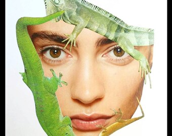Título: "Reptilínea." Iguana be with you.