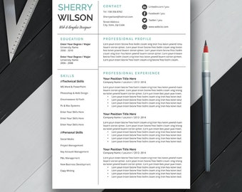 proffesional resume templates