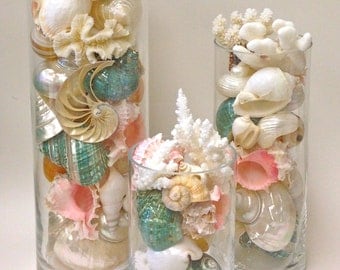 Beach Decor - Seashells, Coral and Starfish in Glass Cylinders 8", 12" and 16" *PLEASE NOTE - Shipping Fee will be assessed when packed*