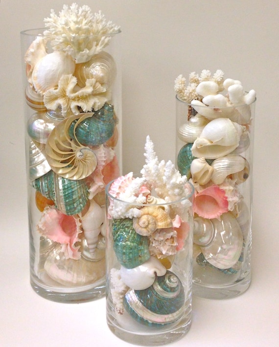 Beach Decor - Seashells, Coral and Starfish in Glass Cylinders