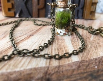 TINY TERRARIUM Necklace with live kentucky moss