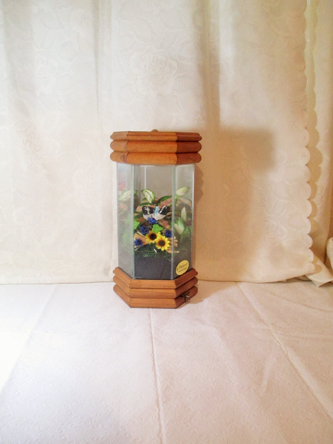 Glass Terrarium Vintage California Terrarium Glass Wood