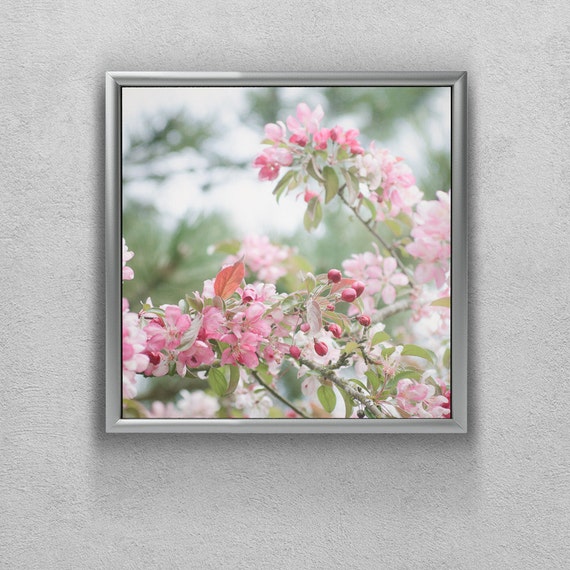 Apple Blossoms Wall Decor Girl Bedroom Art Pink Flowering