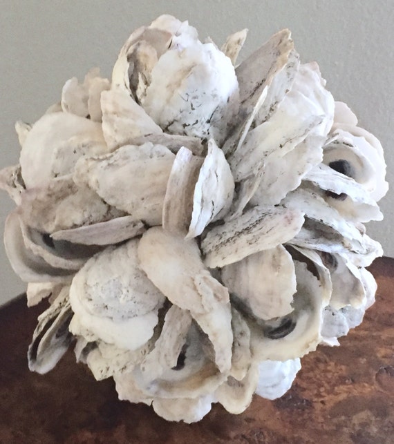 Oyster Shells Oyster Shell Home Decor Oyster Ball Farmhouse