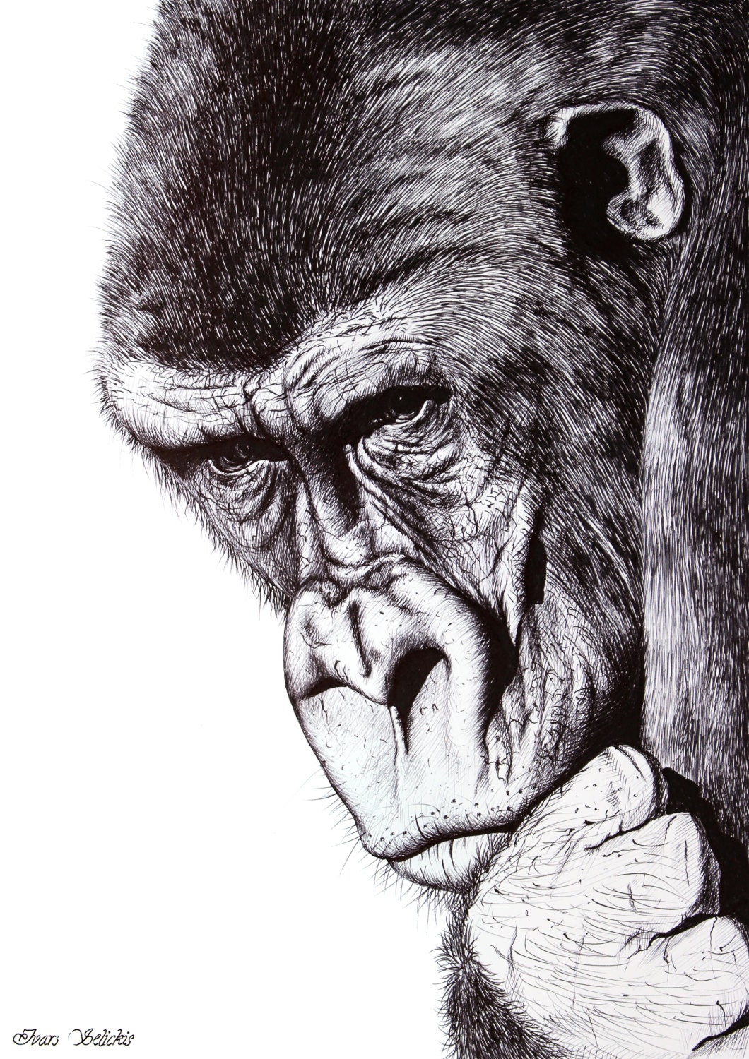 Realistic gorilla fine art black ball pen by ArtwaveStudio on Etsy