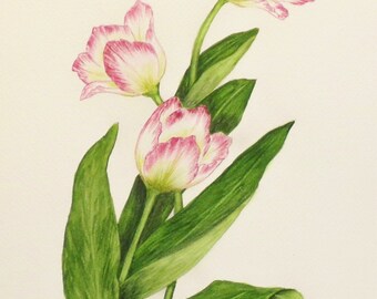Items similar to Original Watercolor (Aquarelle) Flower Painting ...