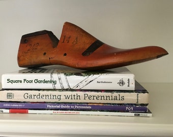 Vintage Wooden Shoe Last Form with Wonderful Patina