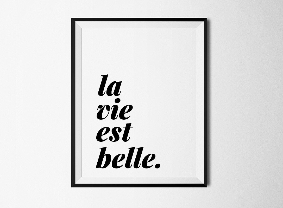 Belle vie перевод. La vie est Belle надпись. Belle надпись картинки. Красиво написанная фраза la vie est Belle. Vie месяц.