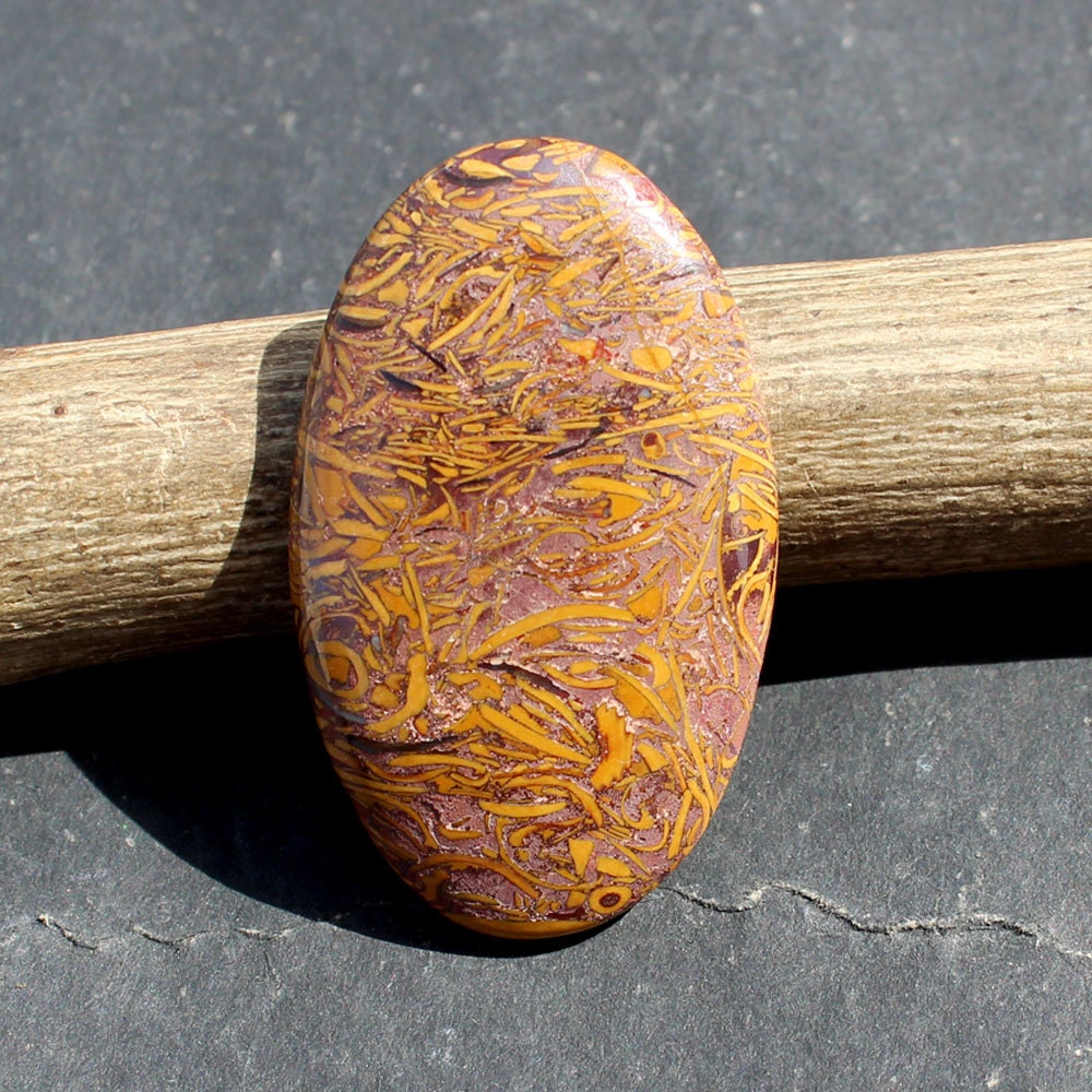 Coquina Jasper Cabochon 50 ct 44x26x4 mm Fossil Natural