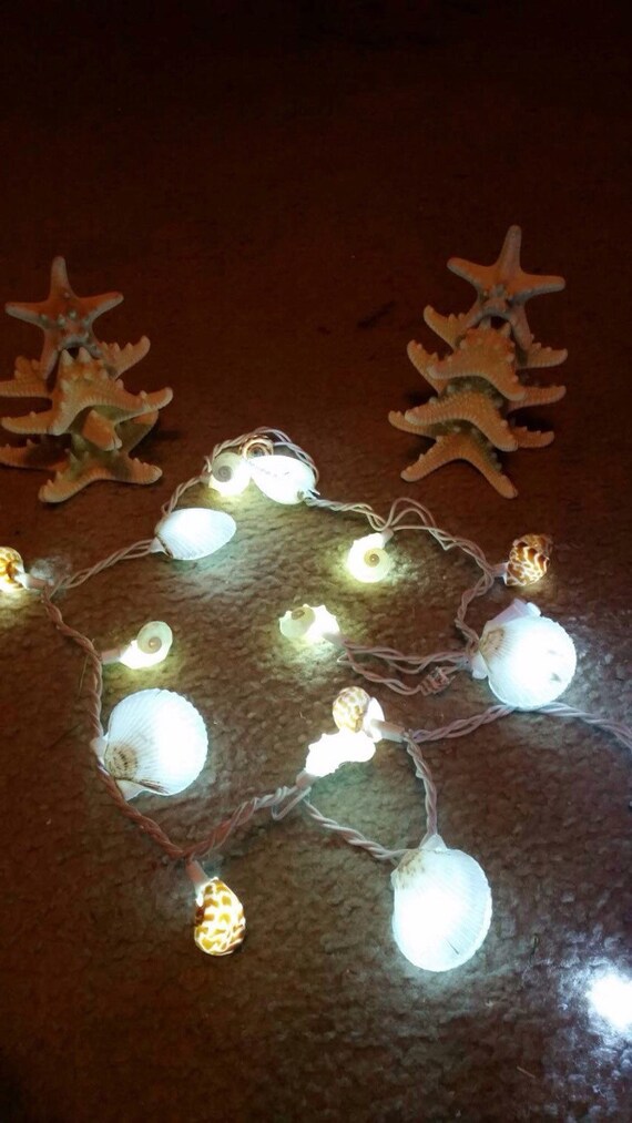 12ft 50 seashell lights shell lights coastal lights 12ft 50 seashell lights shell lights coastal lights
