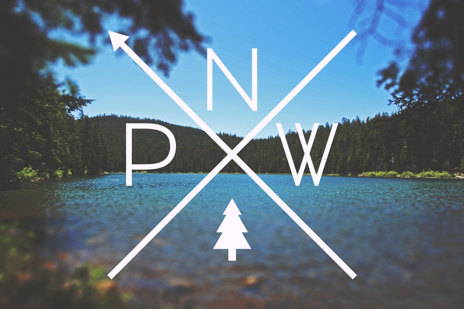 PNW logo (With images) Evergreen tree tattoo, Oregon