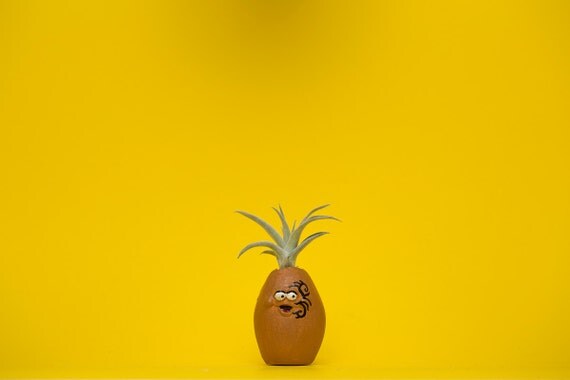 MIKE TYSON chicken NUGGET planter
