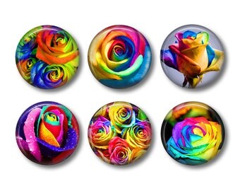 Rainbow Roses Magnets, Fridge Magnets, Kitchen Magnets, Button Magnets, Fridge Magnet Set, Cute Fridge Magnets