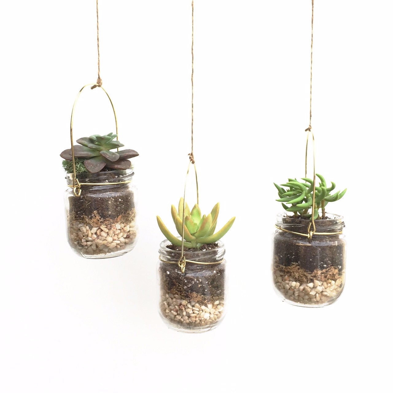Hanging terrarium DIY terrarium kit succulent by ShopVerdure