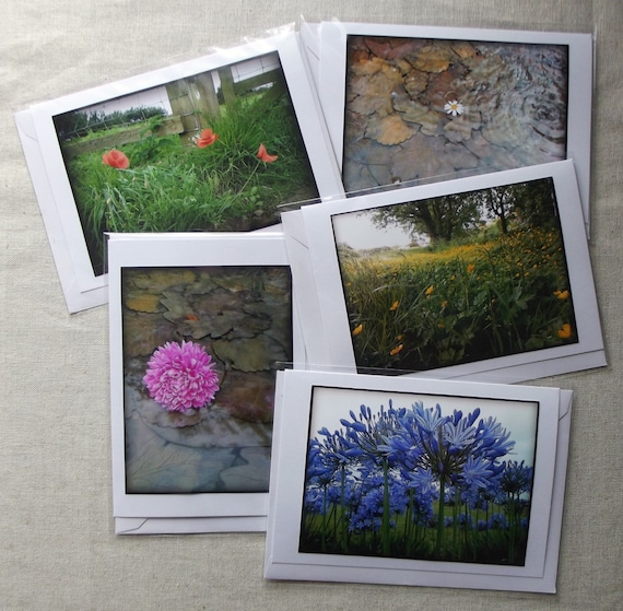 Photographic Art Cards 5 Flowery Art cards set 6. by ThePresents