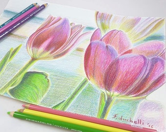 Tulip drawing | Etsy