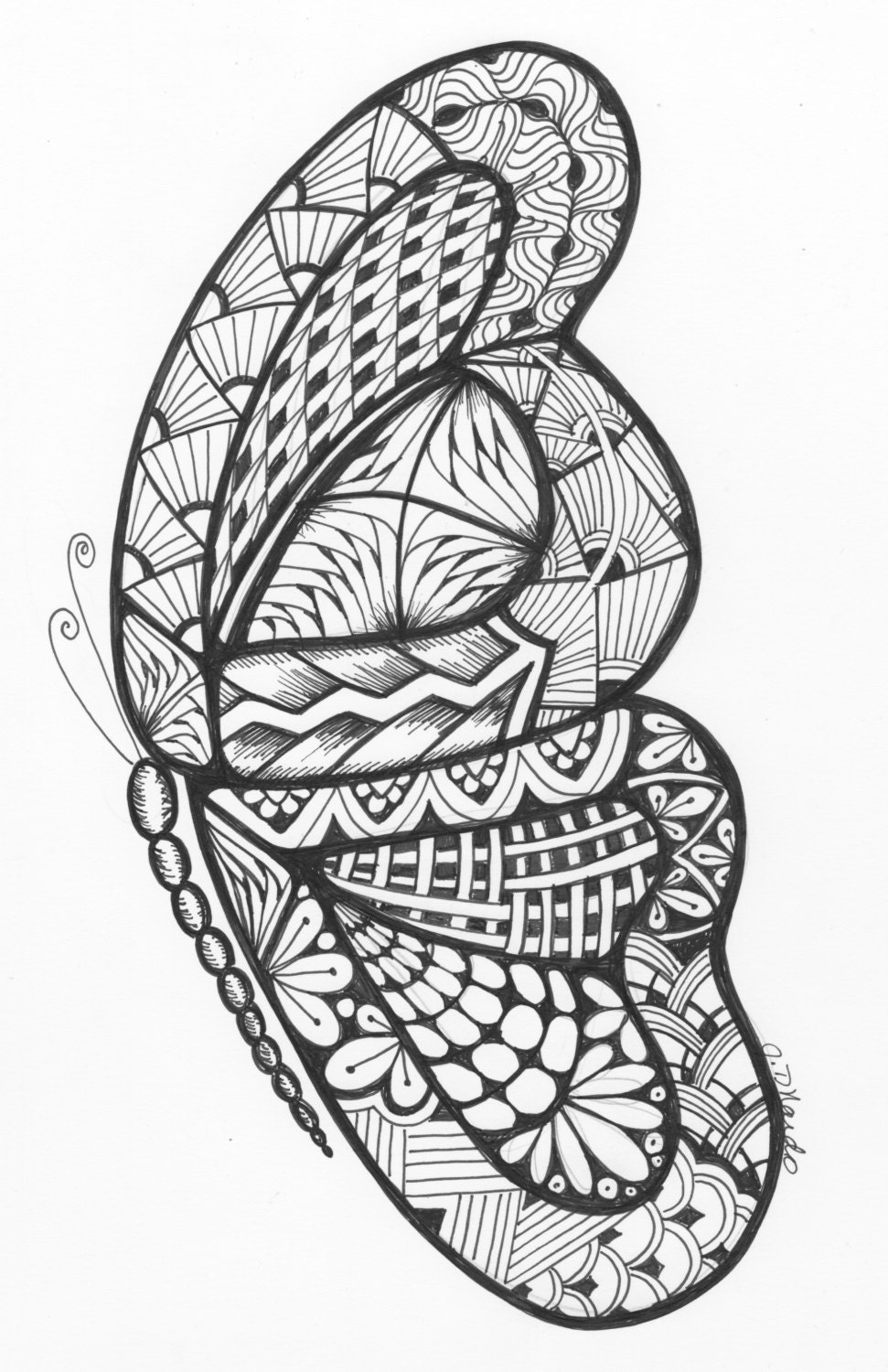 Butterfly Ink Drawing 1 by JohannasDesignsInk on Etsy