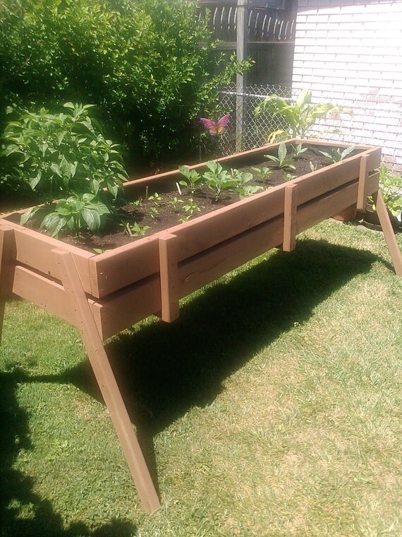 Raised Garden Beds