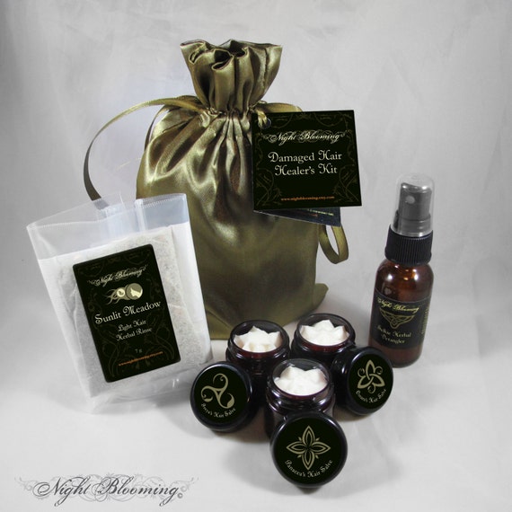 Damaged Hair Healer's Kit
