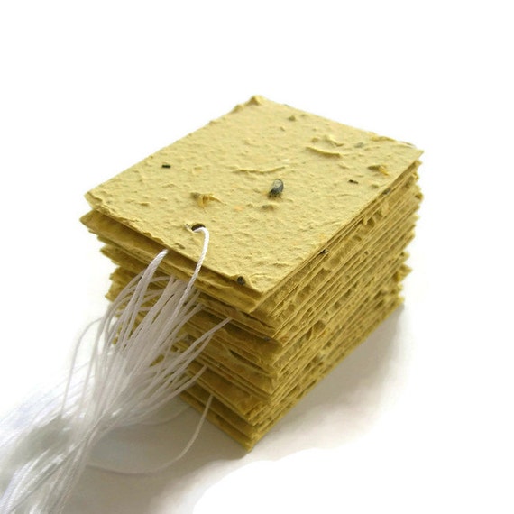 Mustard seed essay image