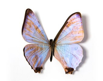 Morpho Suikowskyi Butterfly 2.5" Papercut Decoration