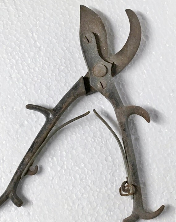 Vintage Painted Metal Pruning Shears