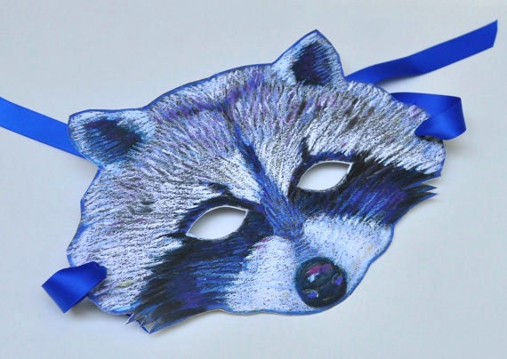 Raccoon Mask