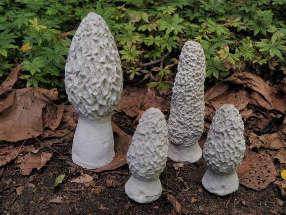 Realistic Cement Morel Mushroom Lot of 4 Garden Art Concrete