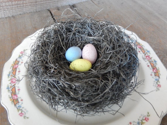 Bird Nest Rustic Handmade Bird Nest with Handmade Speckled Eggs Spring Easter Decor by AMarigoldLife on Etsy